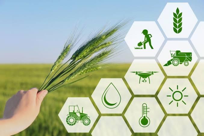 Revolutionizing Agriculture: From Soil to Software